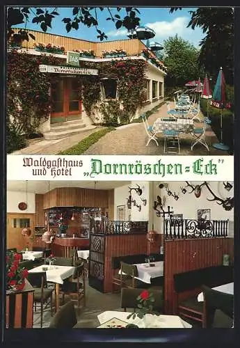 AK Friedrichswald / Rinteln, Waldgasthaus-Hotel Dornröschen-Eck, Aussenansicht u. Inneres
