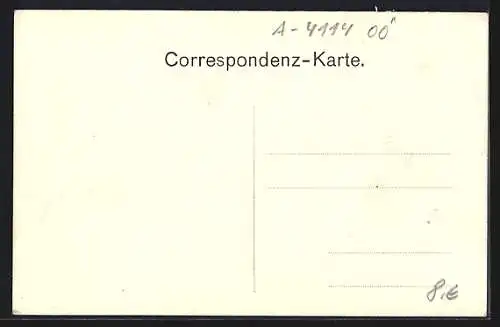 AK Neuhaus a. d. Donau, Blick über das Wasser auf Untermühl