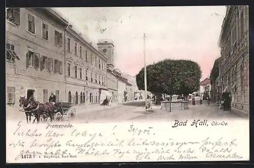 AK Bad Hall /Ob.-Oe., Gasthof u. Fleischhauerei M. Mitter, Promenade