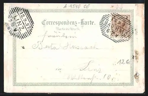 Lithographie Bad Hall, Tasilo-Jodquelle, Trinkhalle, Theater