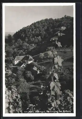 AK Leibnitz, Weingut Wellinghof