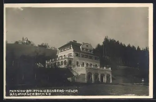AK Bad Schallerbach /O.Ö., Pension Bristol, Lebenberg-Keller