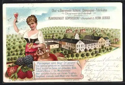 Lithographie Göppersdorf / Burgstädt, Obst- und Beerenwein Kelterei Champagner-Fabrikation