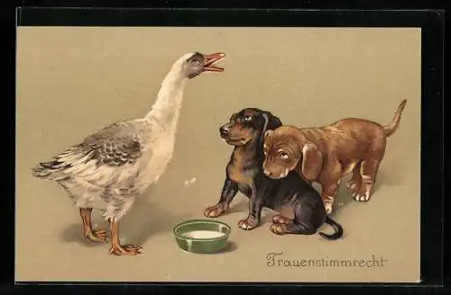 Lithographie Frauenstimmrecht, Zwei Dackelwelpen kuschen vor der Gans