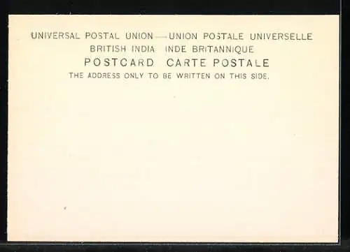 AK Elephants at work dragging timber, felling trees, Arbeits-Elefanten