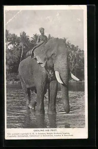 AK Elefant mit Mahout im flachen Wasser