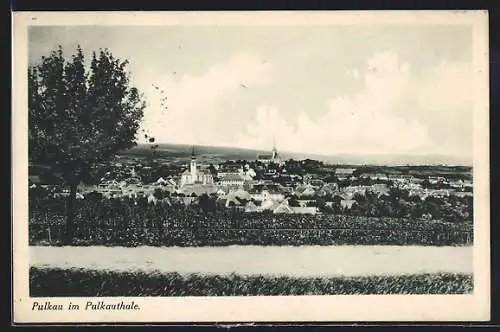 AK Pulkau im Pulkauthale, Ortsansicht mit Fernblick