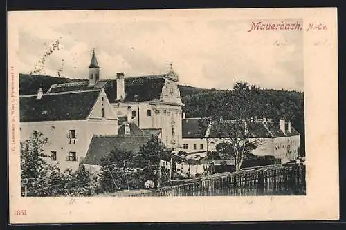 AK Mauerbach /N.-Oe., Ortspartie mit Kirche