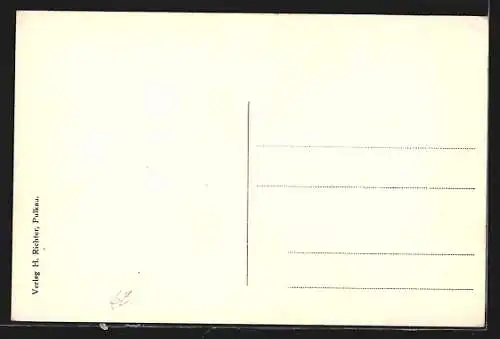 AK Pulkau, Teilansicht mit Kirche