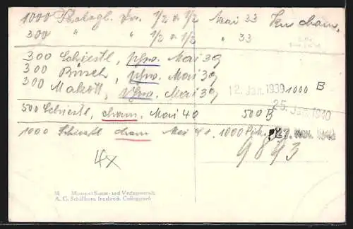 AK Schruns, Ansicht mit Silvrettagruppe im Montafon