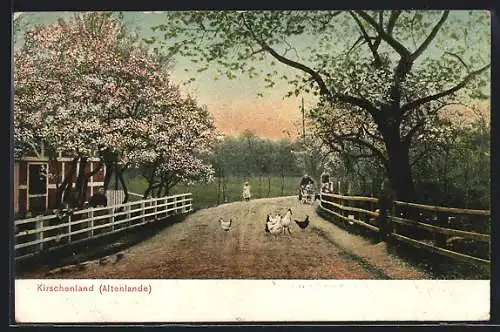 AK Altenlande, Kirschenland / Strassenpartie mit Hühnern bei Baumblüte