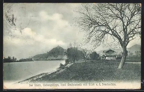 AK Insel Grafenwerth /Siebengebirge, Rheinpartie mit Blick auf den Drachenfels