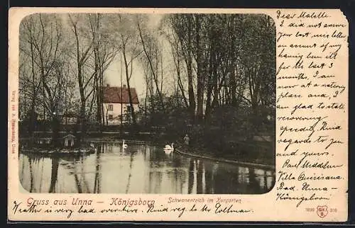 AK Unna-Königsborn, Schwanenteich im Kurgarten