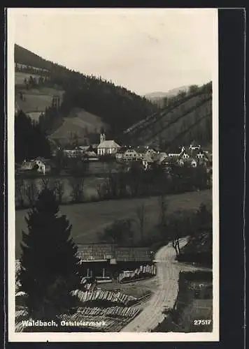 AK Waldbach /Oststeiermark, Ortsansicht mit Landstrasse