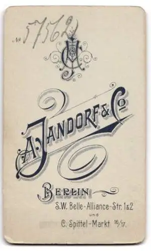 Fotografie A. Jandorf & Co., Berlin, Belle-Alliance-Strasse 1 u. 2, Bürgerliche Dame im Kleid