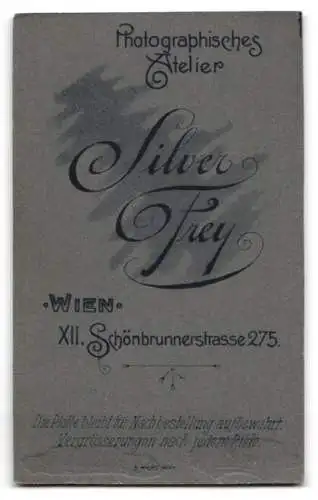 Fotografie Silver Frey, Wien, Schönbrunnerstr. 275, Junge Dame im Kleid mit Kragenbrosche