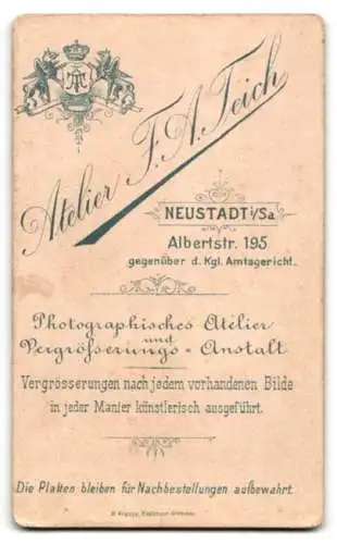 Fotografie F. A. Teich, Neustadt i. S., Albertstr. 195, Charmanter Herr im Anzug mit Fliege