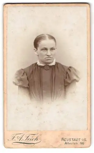 Fotografie F. A. Teich, Neustadt i. Sa., Albertstr. 195, Bürgerliche Dame mit Kragenbrosche