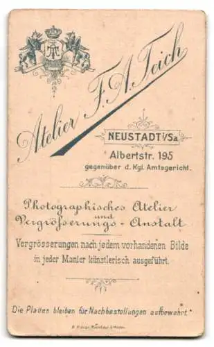 Fotografie F. A. Teich, Neustadt i. Sa., Albertstr. 195, Bürgerliche Dame mit Kragenbrosche