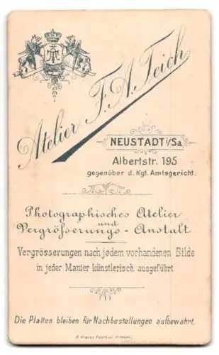 Fotografie F. A. Teich, Neustadt i. Sa., Albertstr. 195, Bürgerliche Dame mit Kragenbrosche