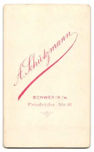 Fotografie A. Schützmann, Schwerin i. M., Friedrichs-Str. 10, Bürgerlicher Herr mit Vollbart