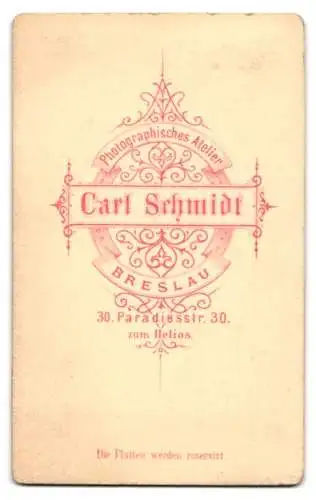 Fotografie C. Schmidt, Breslau, Herr im dunklen Anzug mit buschigem Vollbart und Brille
