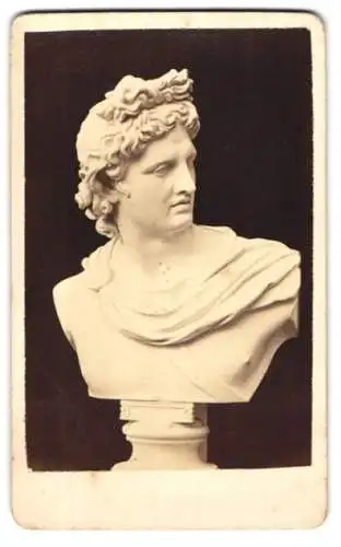 Fotografie unbekannter Fotograf und Ort, Statue. Apollo von Belvedere, Büste