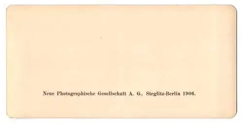 Stereo-Fotografie NPG, Berlin, Ansicht Mannheim, Strassenbahn an der Rheinbrücke