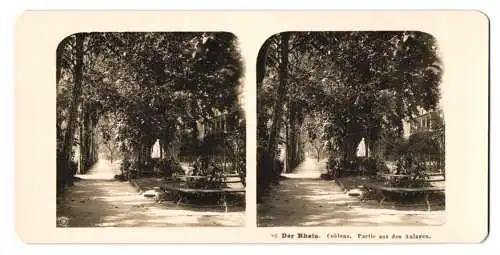 Stereo-Fotografie NPG, Berlin, Ansicht Coblenz a. Rh., Blick in die Anlagen, Allee