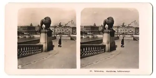 Stereo-Fotografie NPG, Berlin, Ansicht Stockholm, Partie an der Schlossrampe mit Löwenstatue