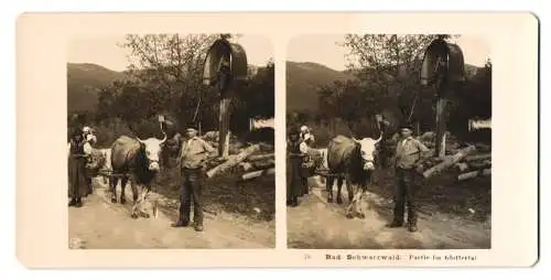 Stereo-Fotografie NPG, Berlin, Ansicht Glottertal, Bauern in Tracht an einem Wegekreuz