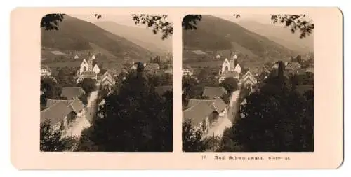 Stereo-Fotografie NPG, Berlin, Ansicht Glottertal, Blick auf den Ort im Schwarzwald