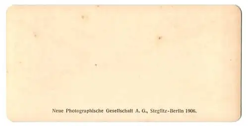 Stereo-Fotografie NPG, Berlin, Ansicht Malines, Le Mont de Plété