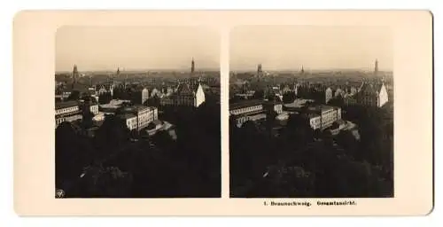 Stereo-Fotografie NPG, Berlin, Ansicht Braunschweig, Blick über die Stadt