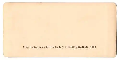 Stereo-Fotografie NPG, Berlin, Ansicht Mannheim, Blick auf den Paradeplatz mit Kaufhaus