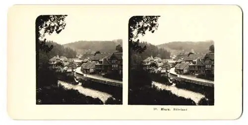 Stereo-Fotografie NPG, Berlin, Ansicht Rübeland, Blick nach dem Ort mit Wohnhäusern