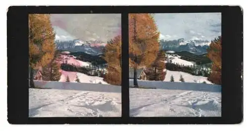 Stereo-Fotografie Chromoplast No. 25, Blick vom Hohen Ritten zum Rosengarten