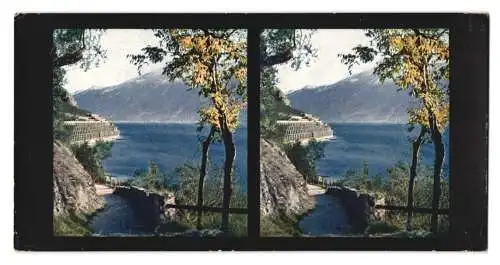 Stereo-Fotografie Chromoplast No. 18, Partie bei Limone mit terrassierter Zitronen- und Olivenplfanzung