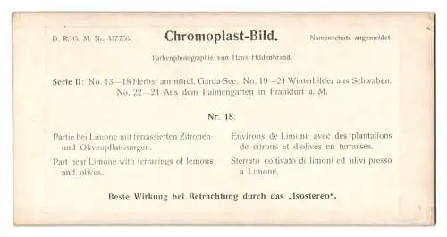 Stereo-Fotografie Chromoplast No. 18, Partie bei Limone mit terrassierter Zitronen- und Olivenplfanzung