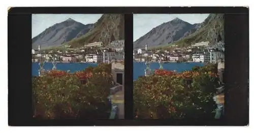 Stereo-Fotografie Chromoplast No. 17, Limone gegen Süden