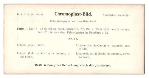 Stereo-Fotografie Chromoplast No. 17, Limone gegen Süden