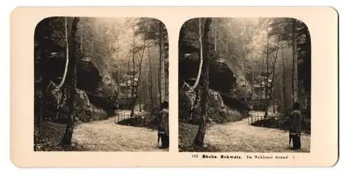 Stereo-Fotografie NPG, Berlin, Ansicht Wehlen, Partie im Wehlener Grund