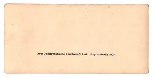 Stereo-Fotografie NPG, Berlin, Ansicht Fontainebleau, Chambre de Napoleon