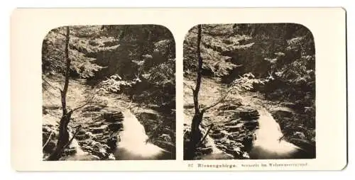 Stereo-Fotografie NPG, Berlin, Ansicht Weisswassergrund, Flusslauf im Weisswassergrund, Riesengebirge