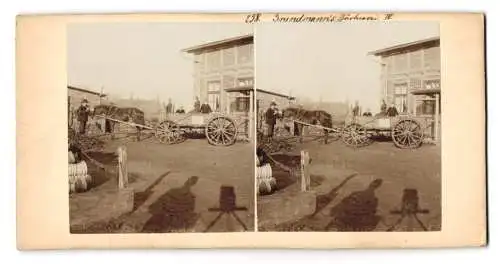 Stereo-Fotografie Kurt Emmerich, Erfurt, Ansicht Erfurt, Grundmann's Gärtnerei, Pferdekutsche & Geschäftshaus