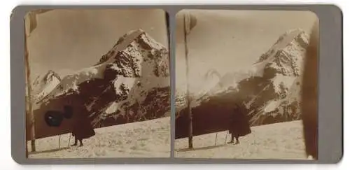 Stereo-Fotografie Bergsteiger bewundert das Gebirgs-Panorama