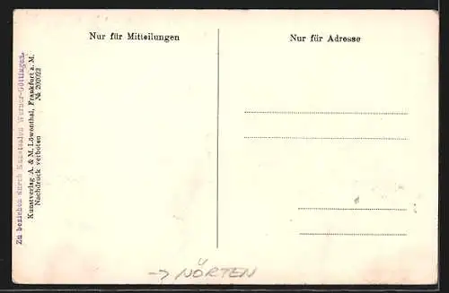 Künstler-AK Nörten, Ortsansicht mit Schloss Hardenberg im Jahr 1650, nach Merian