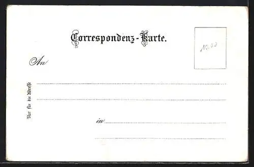 Lithographie Hallstatt, Ortsansicht, Dampferpartie, Wasserfall