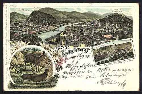 Lithographie Salzburg, Stadtbrücke mit elektrischem Aufzug, Bergziegen, Totalansicht mit Bergen