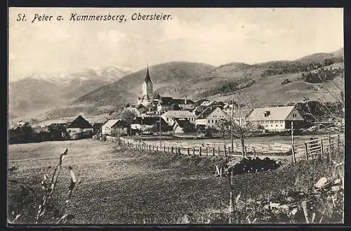 AK St. Peter am Kammersberg, Ortsansicht mit Bergpanorama